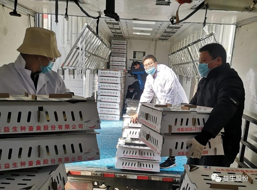 ����ע�����ߡ���������Ϊ�������ǲ��й����Ŷӵ���