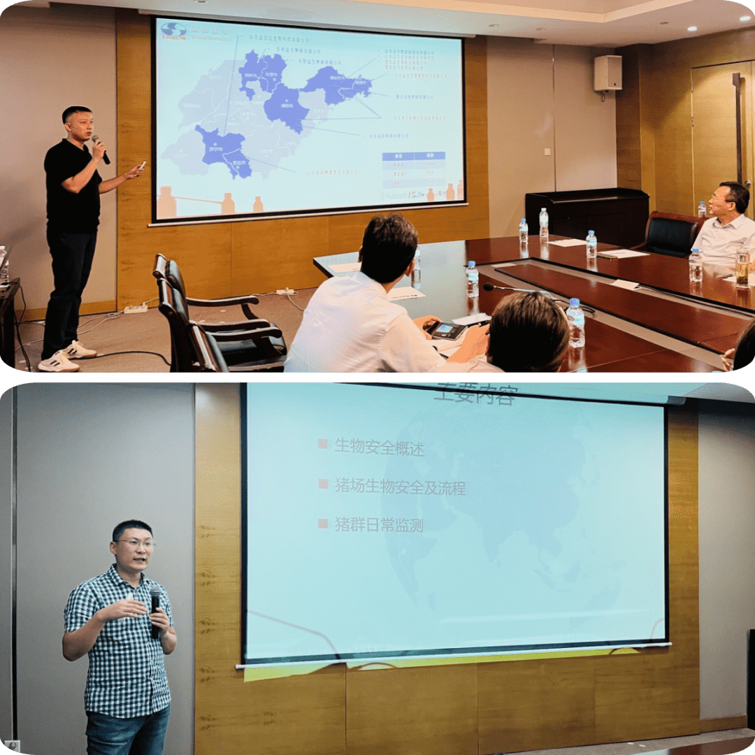 334_min.png 334_min.png