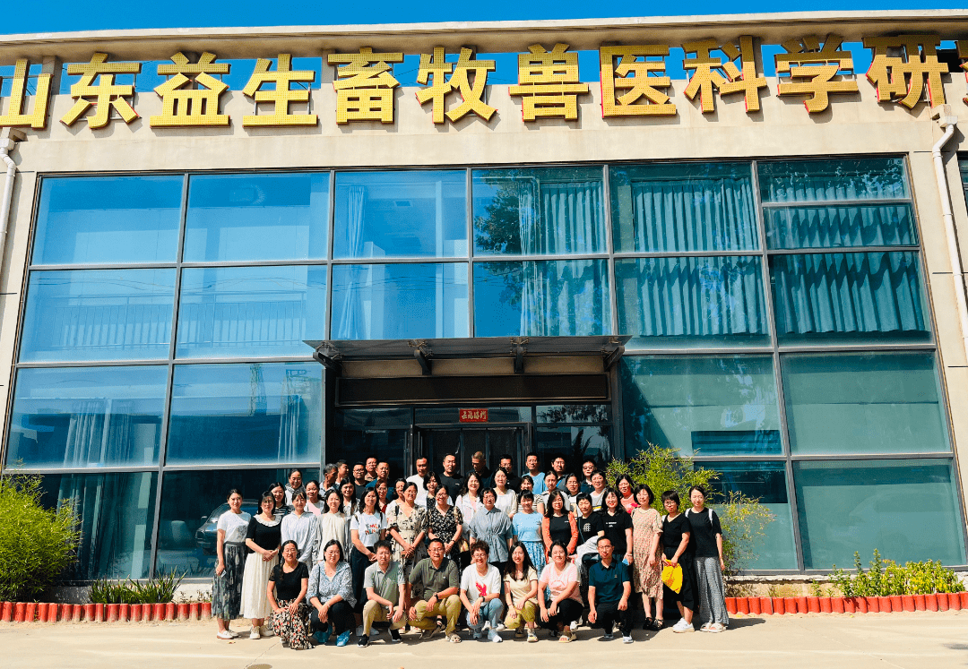 335_min.png 335_min.png