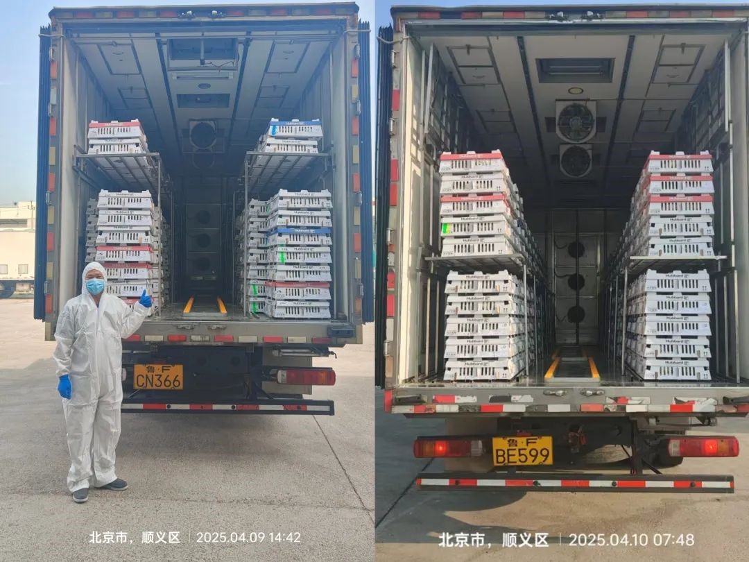 ΢ÐÅͼƬ_20250412134714.jpg ΢ÐÅͼƬ_20250412134714.jpg