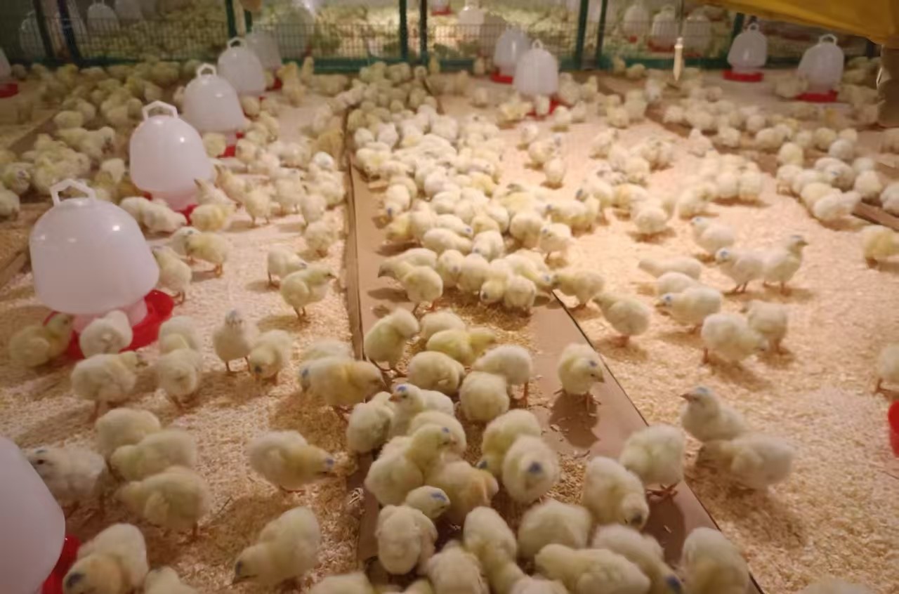 ΢ÐÅͼƬ_20250410130116.jpg ΢ÐÅͼƬ_20250410130116.jpg