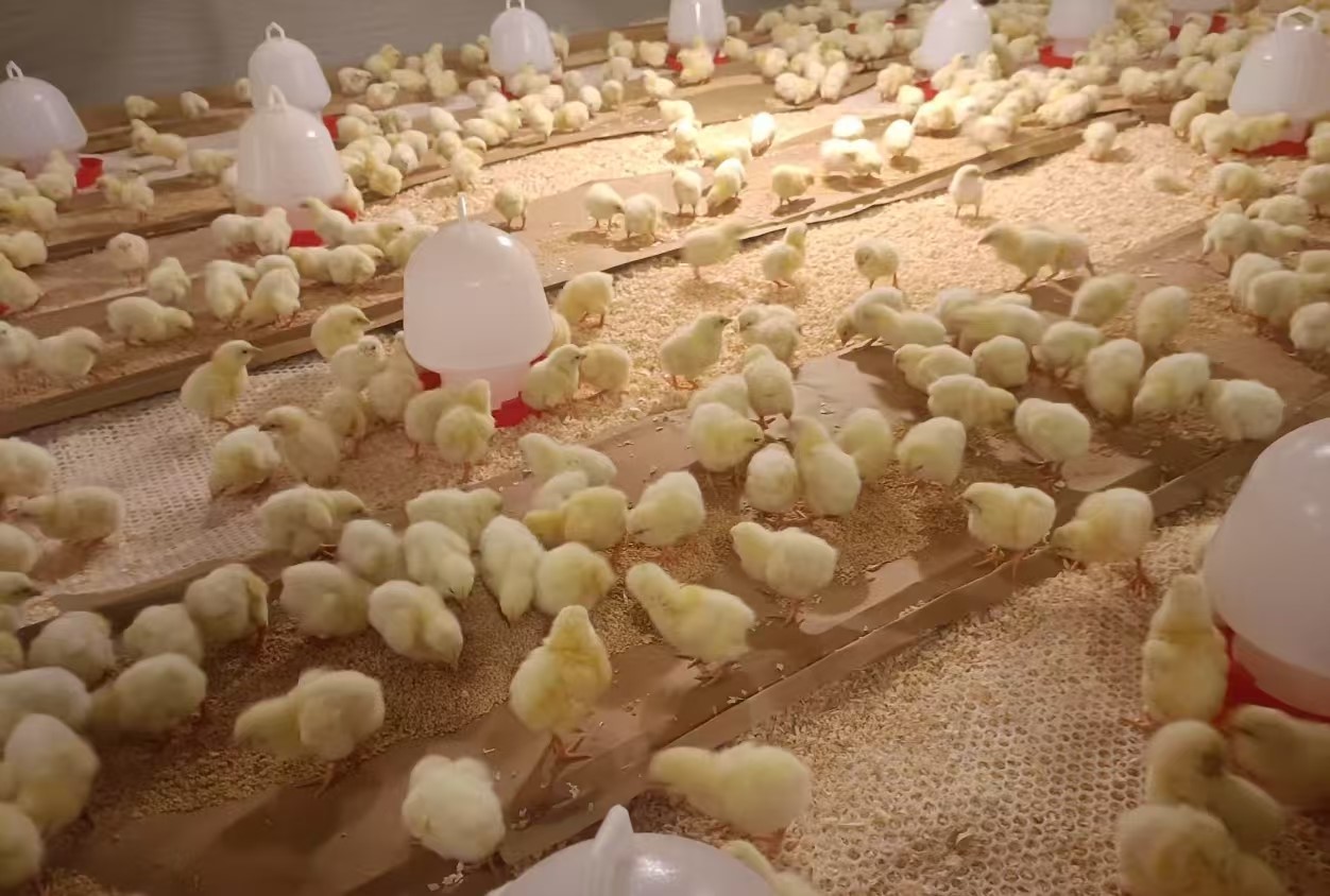 �����š�����������������������ǲ��й����ɷ�����1.4����������ּ�