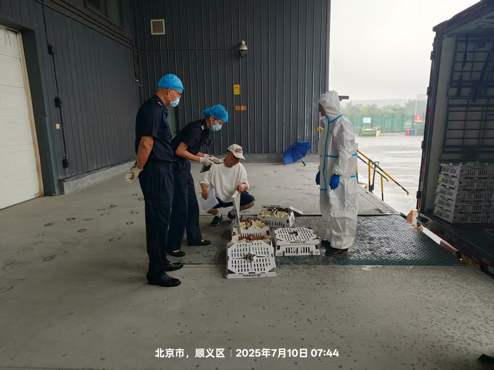 ��ϲѶ��ʢ��������ʢ���������������ǲ��й����ɷݵ�����������������ּ�˳���뾳