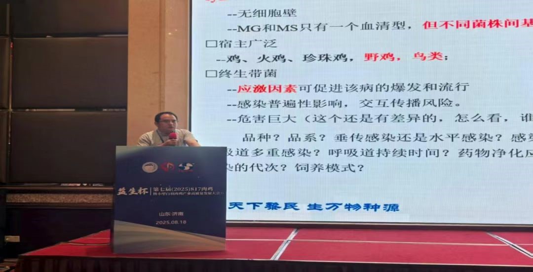 ΢ÐÅͼƬ_20250823142426.jpg ΢ÐÅͼƬ_20250823142426.jpg