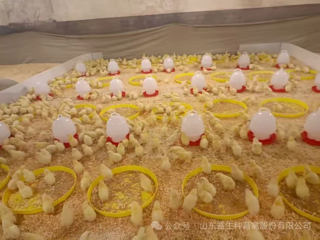 ΢ÐÅͼƬ_20250823142411.jpg ΢ÐÅͼƬ_20250823142411.jpg